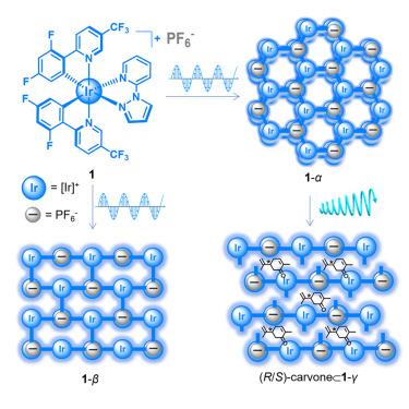 Metalloligand-anion frameworks: Tunable polarized luminescence and crystal-to-crystal transformation