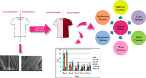 Chemical Modification of Cellulose and Polyester/Cellulose Blended Fabric to Make It Disperse Dyeable: A Sustainable Approach to Achieve Dyeing of P/C Blend with Disperse Dyes