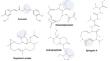 Probing Dual Covalent Irreversible Inhibition of EGFR/FGFR4 by Electrophilic-Based Natural Compounds to Overcome Resistance and Enhance Combination Therapeutic Potentials and Management of Hepatocellular Carcinoma (HCC).