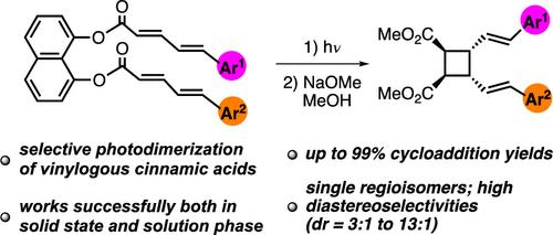 Template-Directed Selective Photodimerization Reactions of 5-Arylpenta-2,4-dienoic Acids