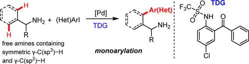 Palladium-Catalyzed Selective γ-Monoarylation of Free Amines Containing Symmetric γ-C-H Controlled by a Transient Directing Group.