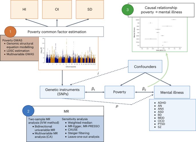 Investigating the impact of poverty on mental illness in the UK Biobank using Mendelian randomization