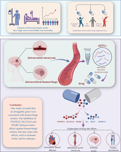 Systematic Mendelian Randomization Exploring Druggable Genes for Hemorrhagic Strokes.