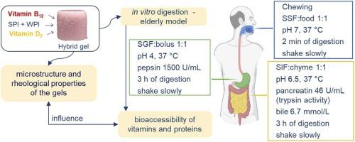 Digestion of mixed protein gels using elderly static in vitro digestion model: Impact of microstructure on bioaccessibility of vitamins B12 and D3