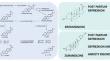 Neurosteroids and translocator protein 18 kDa (TSPO) ligands as novel treatment options in depression.