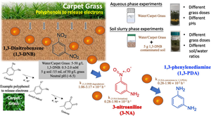 Evaluation of Soil Mixing with Carpet Grasses for Polyphenol Reductive Degradation of 1,3-dinitrobenzene Contaminated Soils