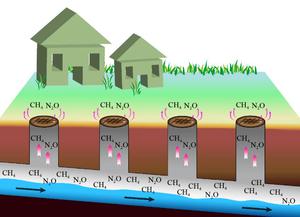 Emission of greenhouse gases from sewer networks: field assessment and isotopic characterization