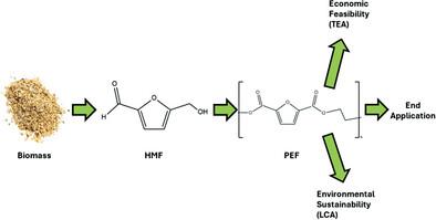 Biobased Polyethylene Furanoate: Production Processes, Sustainability, and Techno‐Economics