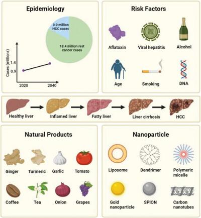 Breaking Down the Arsenal: Recent Progress in the Nanotherapeutic Strategies for Hepatocellular Carcinoma Treatment