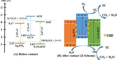 Enhancement of tetracycline photocatalytic degradation under visible light: Unleashing the synergy of Z-scheme Ag3PO4/GCN/FeNi-BTC photocatalyst with carbon quantum dots