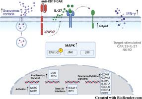 IL-27 Engineered CAR.19-NK-92 Cells Exhibit Enhanced Therapeutic Efficacy