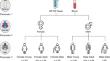 Exploring COVID-19 Pandemic Disparities with Transcriptomic Meta-analysis from the Perspective of Personalized Medicine.