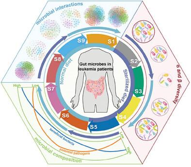 Sterile Diet Causes Gut Microbiome Collapse of Cancer Patients Post Hematopoietic Cell Transplantation, But Normal Diet Recovers Them.