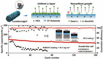 High entropy alloy nanoparticles decorated carbon-based electrode as interfacial Li-ion localized accelerators for anode-free lithium metal batteries