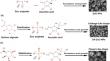 A novel occurrence of polymorphic self-assembled zinc oxide nanoparticles encapsulated by sodium alginate and pectin