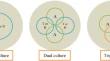 Metabolic picture of microbial interaction: chemical crosstalk during co-cultivation between three dominant genera of bacteria and fungi in medicinal plants rhizosphere.