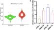 E2F1 Facilitates the Proliferation and Stemness of Gastric Cancer Cells by Activating CDC25B Transcription and Modulating the MAPK Pathway.