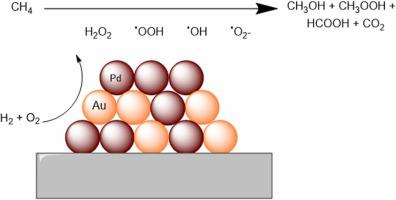 The direct synthesis of H2O2 and in situ oxidation of methane: An investigation into the role of the support