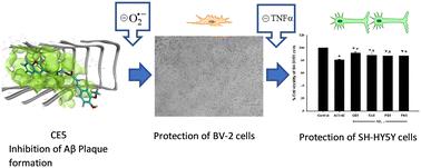 Discovery of novel coumarin triazolyl and phenoxyphenyl triazolyl derivatives targeting amyloid beta aggregation-mediated oxidative stress and neuroinflammation for enhanced neuroprotection†