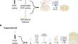 Povidone-iodine in vitro antiseptic efficacy as a function of exposure duration, concentration, preparation, and length of storage.