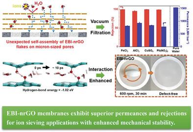 Unexpected Self-Assembly of Nanographene Oxide Membranes upon Electron Beam Irradiation for Ultrafast Ion Sieving.