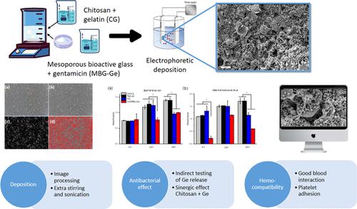 Optimized Electrophoretic Deposition of Chitosan/Mesoporous Glass Nanoparticles with Gentamicin on Titanium Implants: Enhancing Hemocompatibility and Antibacterial Activity