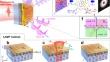 Flexible generation of structured terahertz fields via programmable exchange-biased spintronic emitters