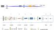 Surface diffraction beamline at the SSRF