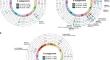 Genome-wide atlas of rust resistance loci in wheat.