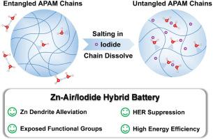 Polymer and Chaotropic Anion: A dual-additive strategy enables stable Zn Anode and high energy efficiency for Zn-Air/Iodide hybrid batteries