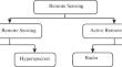 Modeling, Mapping and Analysis of Floods Using Optical, Lidar and SAR Datasets—a Review