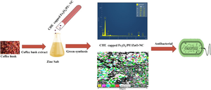 Synthesis and characterization of coffee husk extract (CHE)-capped Fe3O4/PU/ZnO nanocomposites with antimicrobial activity