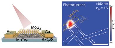 Infrared Photodetector Based on van der Waals MoS2/MoTe2 Hetero-Bilayer Modulated by Photogating