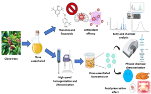 Encapsulation and Delivery of Clove Essential Oil Using Nanoemulsions: Impact on the Physicochemical, Microbial, and Sensory Properties of Chicken Meatballs