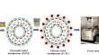 Preparation, Characterization, and Controlled Release of Fenugreek Seed Extract-Loaded Nanoliposomes with Chitosan Surface Decoration