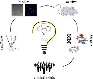 Copper(ii) Complexes Based on 2,2’-Bipyridine and 1,10-Phenanthroline as Potential Objects for Developing Antitumor Drugs