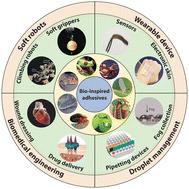 Nature-inspired adhesive systems