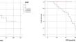 Assessment of the Prognostic Importance of The Revised International Staging System Based on Plasmacytoma Presentation in Recently Diagnosed Patients with Multiple Myeloma