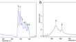 Estimation of age and sex from fingernail clippings by using ATR-FTIR spectroscopy coupled with chemometric interpretation.