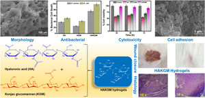 Facile fabrication of functional hyaluronic acid-/konjac glucomannan-based injectable hydrogel as wound closure and anti-microbial material for the treatment of burn wound healing