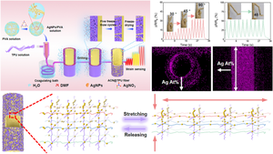 Constructing Anisotropic Conductive Networks inside Hollow Elastic Fiber with High Sensitivity and Wide-Range Linearity by Cryo-spun Drying Strategy