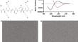 Probing the Effects of Chirality on Self-Assembling Peptides: Hydrogel Formation, Degradation, Antigen Release, and Adjuvancy