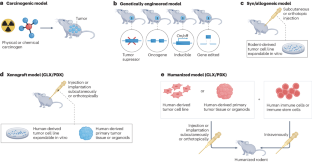 The OBSERVE guidelines provide refinement criteria for rodent oncology models.