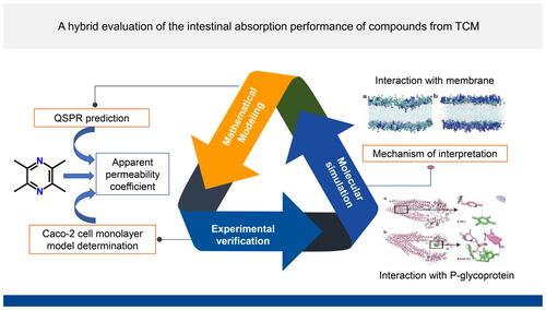 A hybrid evaluation of the intestinal absorption performance of compounds from molecular structure