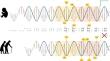 A perspective on epigenomic aging processes in the human brain and their plasticity in patients with mental disorders - a systematic review.