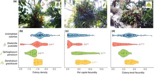 Guests in nests: A parallel between social plants and animals?