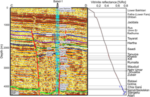 Organic matter characteristics and hydrocarbon generation potential of the Middle Jurassic–Lower Cretaceous succession in the Mesopotamian Foredeep Basin, Iraq