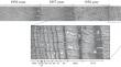 Indication of Radioactive Contamination of Forest Ecosystems in the Zone of the East Ural Radioactive Trace Using Methods of Quantitative Wood Anatomy