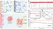 Zeolite polymer membrane as protective interface for Mg battery