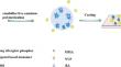 Synthesis of SrAl2O4: Eu, DY @ polymer composite membrane using eugenol as a cross-linking agent to minimize nanoparticle agglomeration